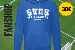 sv06fahnshop