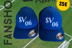 sv06fahnshop02-1