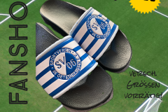 sv06fahnshop02-4