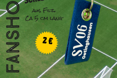 sv06fahnshop02-5