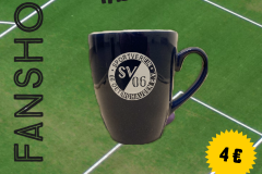 sv06fahnshop02-6