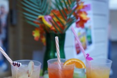 250809_yg_6015