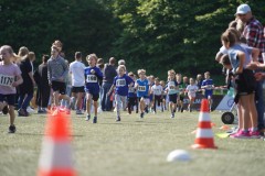 240509_yg_1181